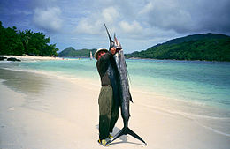 Mahe Beach - author with the sailfish by J. Strzelecki.JPG