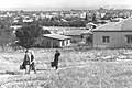 רעננה, 1964. ברקע בתי כפר סבא.