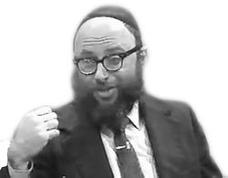 Aryeh kaplan.jpeg