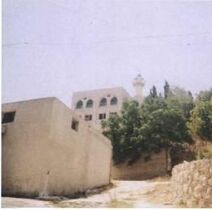 הכפר מיס אל-ג'בל