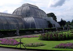 Palm House (glasshouse), Royal Botanic Gardens, Kew, London.jpg