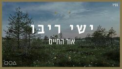 אור החיים (ישי ריבו).jpg