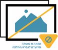 השדרה בלילה