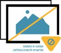 הכניסה למשכן לאמנות