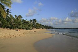 Martinique-11-Les Salines Beach.jpg