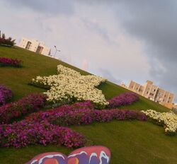 Haifa International Flower Exhibition P1130954.JPG