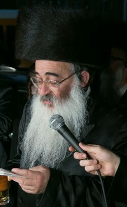 הרב מנחם ארנסטר.jpg