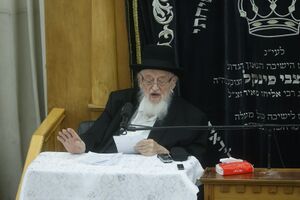 PikiWiki Israel 9437 Rabbi Bergman Rabbi Shach praying grave.jpg