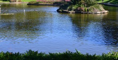 (1)Lake Northam Victoria Park-b.jpg