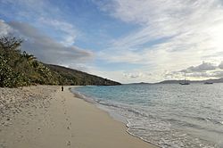 Caneel Bay Honeymoon Beach 1.jpg